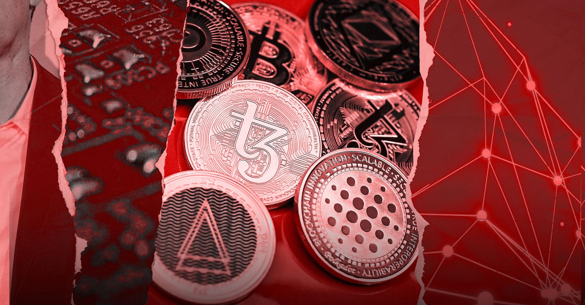 Molly White : « Le secteur des cryptomonnaies est une composante majeure du  mouvement techno-fasciste » - Observatoire des multinationales